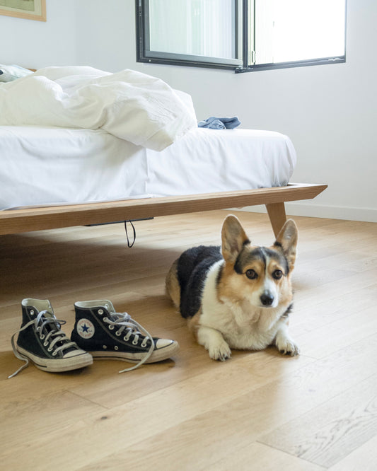 ZIGGY collection: Minimal Corgi Embroidery